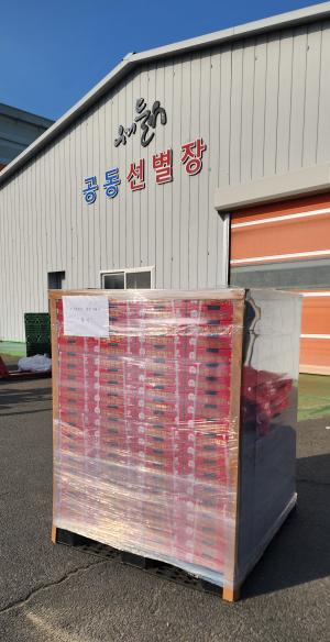 ‘고령딸기’ 홍콩 소비자 입맛 사로잡는다
