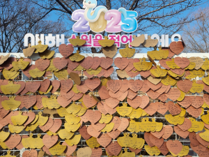 경산시, 시민의 새해 소망 소원 성취대 설치