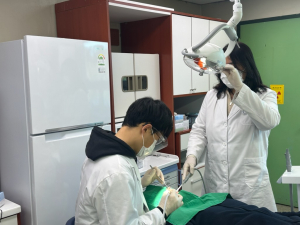 울진군, 어르신 무료 스케일링 지원