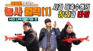 경북농업기술원, 사과 다축재배 교육 영상 공개