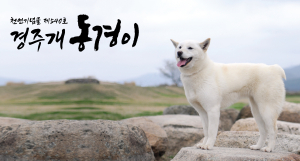 ‘경주개 동경이’ 경주시 공식 상징물로