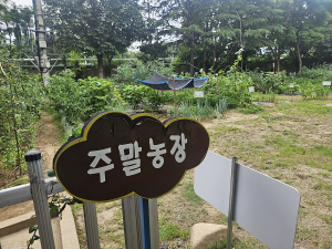 대구공공시설관리공단 북부사업소,  도심속 힐링 주말 농장 분양