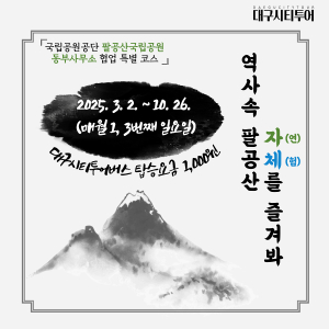 천원으로 즐기는 팔공산 여행…대구시티투어 특별노선 운영