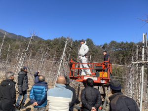 울진군, 사과재배 선도농 육성 동계 전정 실습 교육 성료