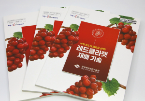 경북농기원 ‘레드클라렛’ 재배 매뉴얼 발간