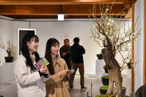 봄 알리는 매화 활짝 “영주 나들이 오세요”
