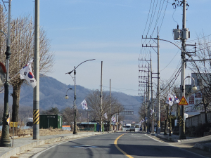 성주군 월항면, 태극기와 함께 꽃피는 나라사랑 마음