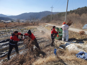 김천시 감문면,영농 부산물 파쇄 주간 운영