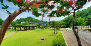 안동시립박물관 전통문화체험교실 수강생 모집