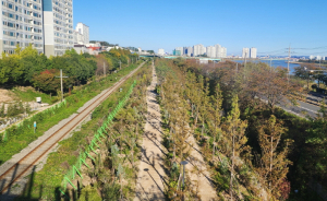 ‘녹색 숨결 가득’ 포항시, 걷고 싶은 도시로 새단장
