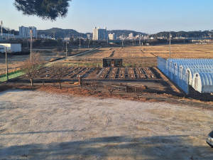 울진군, 왕피천공원 주말농장 운영
