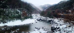<포토>울진 불영계곡에 내린 서설(瑞雪)