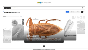 낙동강생물자원관, 정보포털서 담수생물 고해상도 이미지 공개