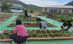 포항시, 힐링 치유농업 프로그램 운영