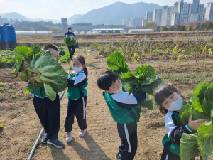 대구시,‘농업체험투어’로 특별한 추억 차곡차곡