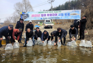 경북도, 문경시 경천호에 빙어 400만 마리 방류