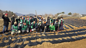 상주시 함창읍 새마을회, 사랑의 감자 심기