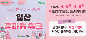 대구 남구 앞산서 벚꽃 구경하고 공연 즐기고~