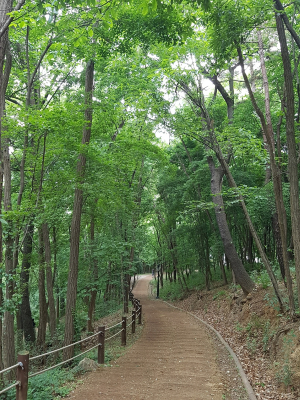 도심 속 활력 충전…“대구 두류공원으로 오이소”