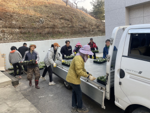 영주시 부석면 주민자치위원회, 부석사 가는 길 팬지꽃 식재