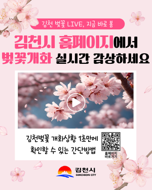 ‘김천 벚꽃 명소’ 개화 상황 실시간 확인