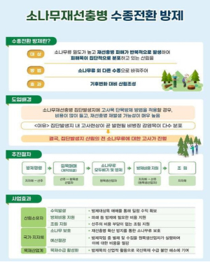 안동시 ‘재선충 몸살’ 소나무 수종 싹 바꾼다