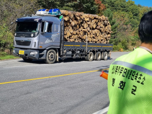 봉화군 “소나무 함부로 옮기면 법 위반”