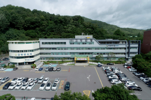 산불 대재앙에…‘고령대가야축제’ 취소