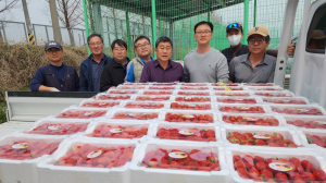 포항시딸기연합회, 산불피해 이재민에 온정 손길