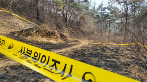'괴물 산불' 대공 용의점부터 수사해야