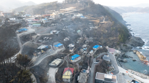 영덕군 주불 진압...비상 상황 유지하며 복구체제 전환