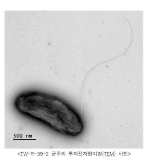 상주국립낙동강생물자원관, 폐수 오염물질 동시정화 미생물 발견