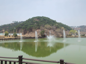 ‘도심 속 힐링 공간’ 포항 창포 마장지 새단장