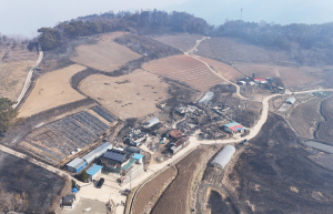 영양군, 산불 피해 농가 지원 TF팀 가동