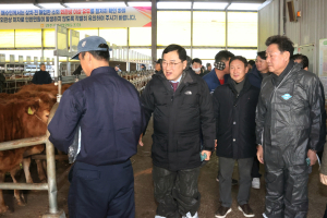 경주시, 한우 농가 경영 안정 위해 이자보전·도축비 지원