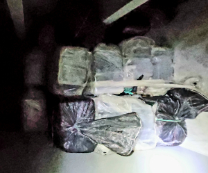 동해해경청-서울본부세관, 마약 의심 물질 대량 적발