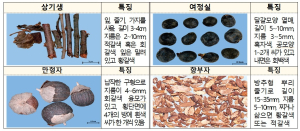 “농ㆍ임산물 불법판매 딱 멈춰!” 온라인 사이트 7곳 적발 차단