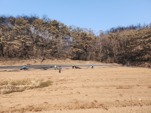 영양군-영양군농협, 산불 피해 농가 긴급 일손돕기 지원
