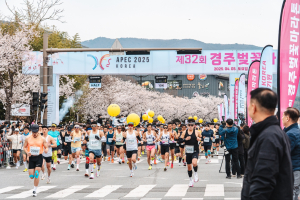 경주 APEC 성공 기원 1만5천명 달렸다