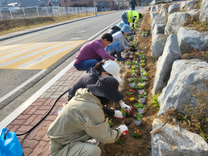 김천시 농소면 도공촌, 꽃 심기 행사
