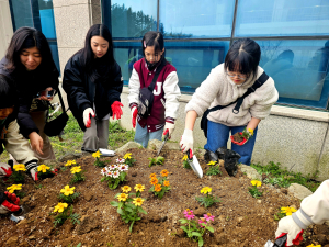 울릉군청소년센터, 청소년 화단 가꾸기