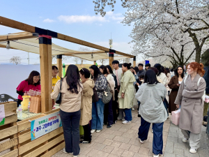 경주시, 벚꽃축제서 고향사랑기부제 홍보