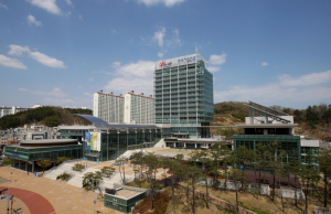 포항시, 1년 이상 방치된 빈집 100호 철거 나선다