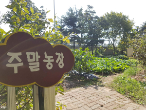 대구공공시설관리공단 북부사업소, 도심 속 ‘주말농장’ 문 활짝