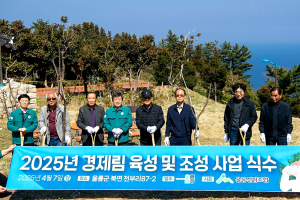 울릉군, 경제림조성사업 식수 행사