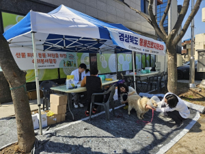 초대형 산불 피해 동물들의 상처 보듬다