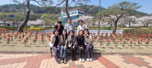 김천시 대항면, 밤에 피는 장미정원 조성