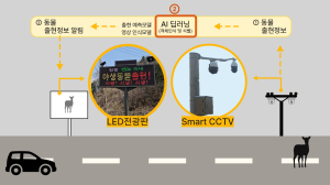 포스코DX, 영상인식 AI기술 활용 로드킬 예방