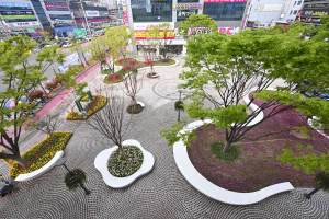 달성군 다사광장ㆍ세천늪 ‘온통 꽃바다’