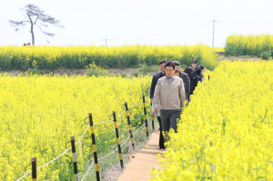 포항 호미곶 경관농업 성공 정착 ‘지역경제 활성화’ 견인